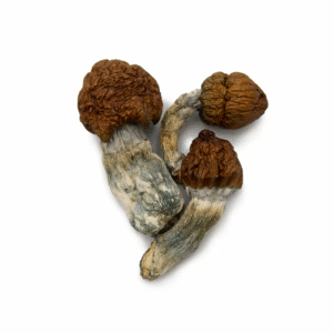 Blue Meanies Magic Mushrooms