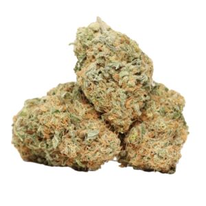 Blueberry Kush Cannabis Strain