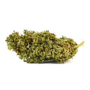 Pineapple Express Marijuana Strain
